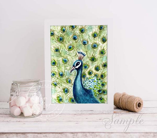 Peacock No.2 ACEO Digital Print Watercolor Painting