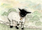 Digital Print Nursery Lamb No.1 ACEO Watercolor Painting Instant Download