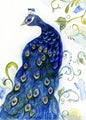 Digital Print Peacock No.1 Watercolor Painting Instant Downoad
