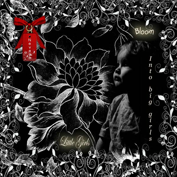 Kit de scrapbooking illustration velours rouge et dentelle noire