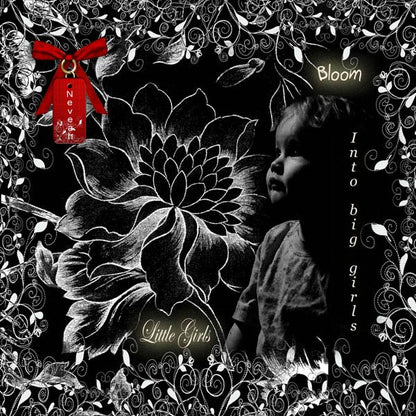 Kit de scrapbooking illustration velours rouge et dentelle noire