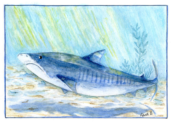 Digital Print Shark No.1 Watercolor Painting Instant Download