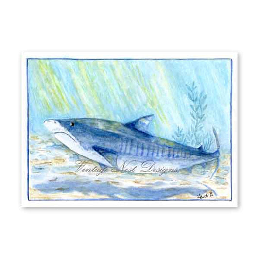 Digitaldruck Hai Nr. 1 Aquarellmalerei