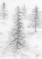 Digital Print Woodlands No.1 Pencil Drawing Instant Download