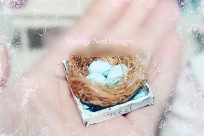 Bird Nest No.25 Dollhouse Miniature Handmade image 3