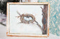 Bird Nest No.19:1 Dollhouse Miniature Handmade Wooden Framed Art image 0