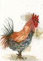 Rooster No.3 Digital Prints Watercolor Painting image 0