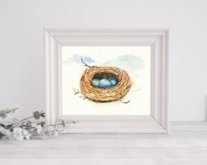 Bird Nest Blue Eggs No.1 Digital Print Watercolor Painting. A bird nest with cute little blue eggs in it. Perfect for digital scrapbooking, a framed print, decoupage, card making, book covers,